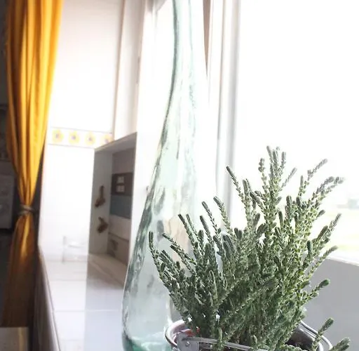 Lilas' Private * Vila do Bispo